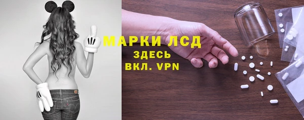 стафф Вяземский
