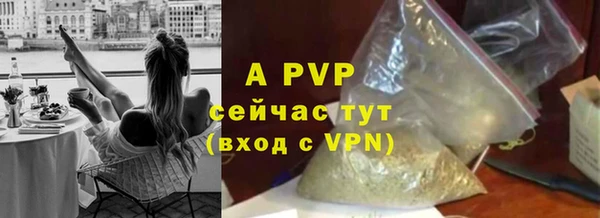 стафф Вяземский