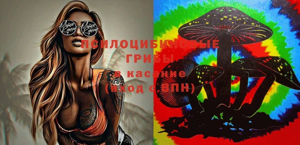 стафф Вяземский