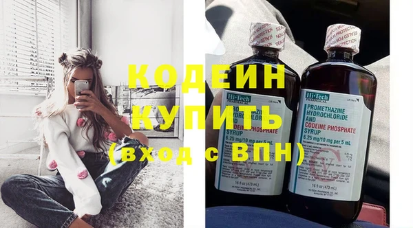 стафф Вяземский